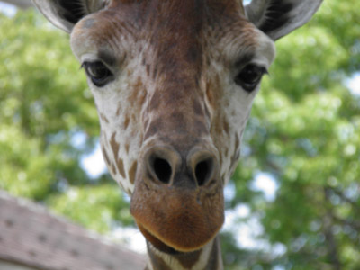 �L��������