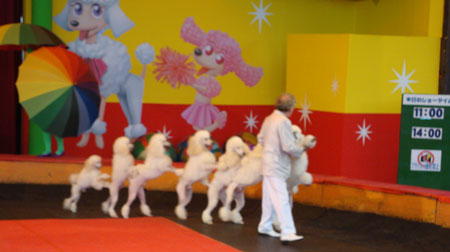 グリーンランド